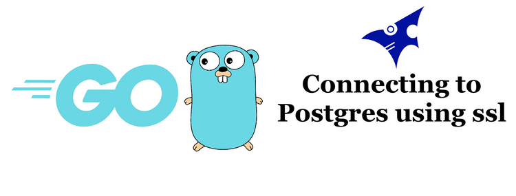 Golang: Connecting to posgres using ssl